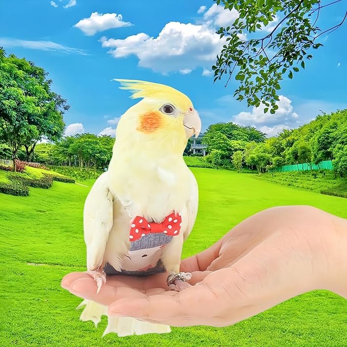 2Pcs Bird Diapers Bird Harness Flight Suits Diapers with 80 Inch Flying Leash Parrot Nappy Washable Cute Urine Wet Suit for Cockatiel Conure Macaw Budgies Parakeet-Pineapple&Kitten,S