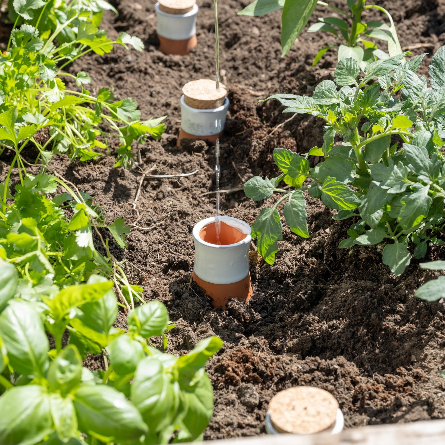 Everbrook Plant Self Watering Globes - Terracotta Watering Spikes - Slow Release Olla Watering Pots - Drip Irrigiation Olla System