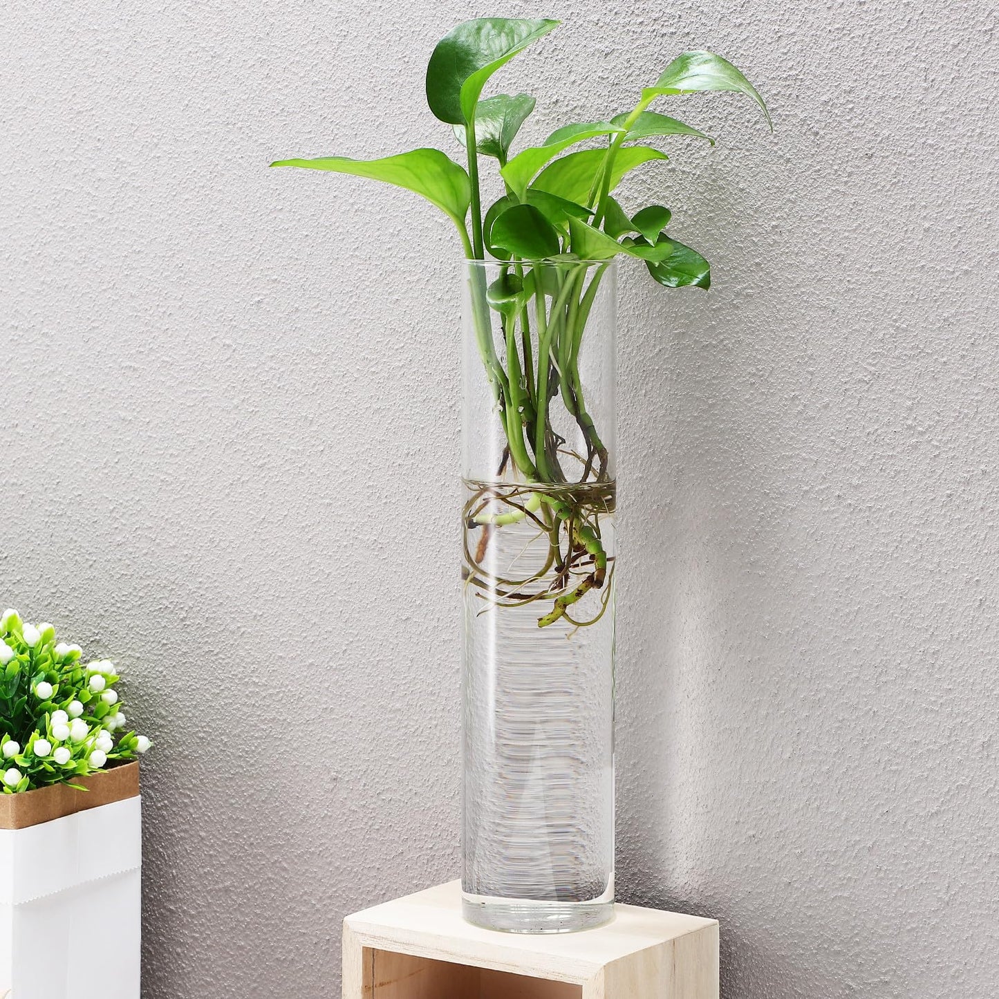 FOMIYES Wall Hanging Glass Planter Vase Set, 2pcs Large Cylinder Glass Wall Vases for Indoor Plants, Hydroponic Propagation Station and Terrarium Flower Holders, Home Décor