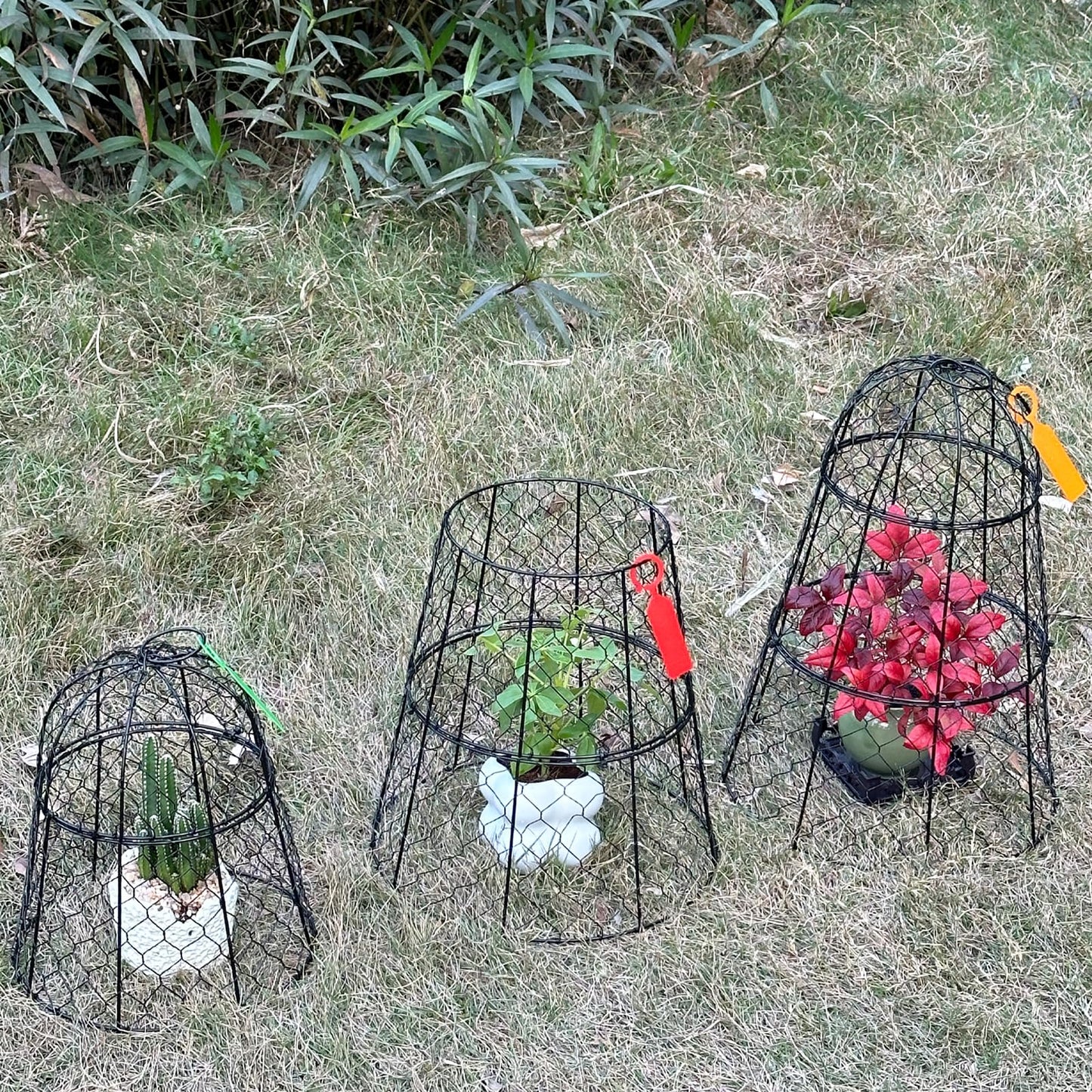 6 Pack 11.4" D x 17.7" H Garden Cloches for Plants,Rustproof Chicken Wire Cloches Flip-Top Design,Upgraded Triple Combination,Plant Protectors from Animals,Ideal for Outdoor Plant Protection