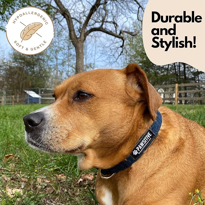 Pawsitive Wool Dog Collar - Hypoallergenic Dog Collar, Great Dog Collar for Sensitive Skin, Soft Collar for Dogs, Soft Organic Dog Collar Eco-Friendly (Medium, Blue & Leash)