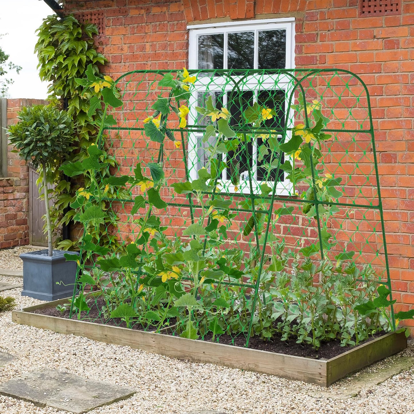 Extra Large Cucumber Trellis for Raised Bed, U-Shape Garden Trellis for Climbing Plants Outdoor,Adjustable Metal Arch Vegetables Trellis,Plant Support Garden Stakes for Vine (Green,65"x49.2"x23.6")
