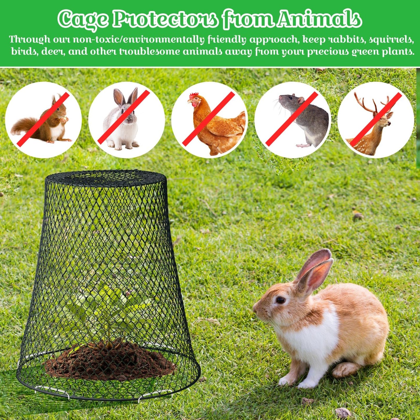 Therwen 15 Pcs Large Plant Wire Cloche 11 x 12 Inch Metal Garden Cloche with Garden Stakes Plant Protector from Animals for Keeping Bunnies Chicken Squirrels Birds (Black)