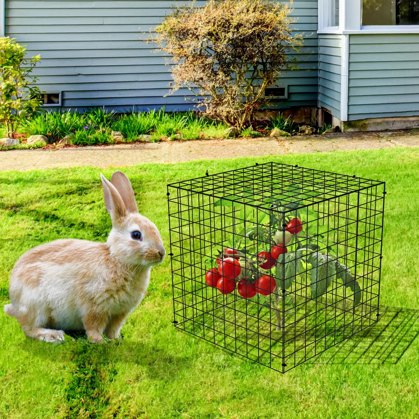 Adnee 7 Pack Wire Plant Protector with Cover-12x12x12 Inch Detachable Square Wire Cages to Prevent Animals-Metal Garden Plant Protector Cages for Protecting Plants Vegetables Flowers