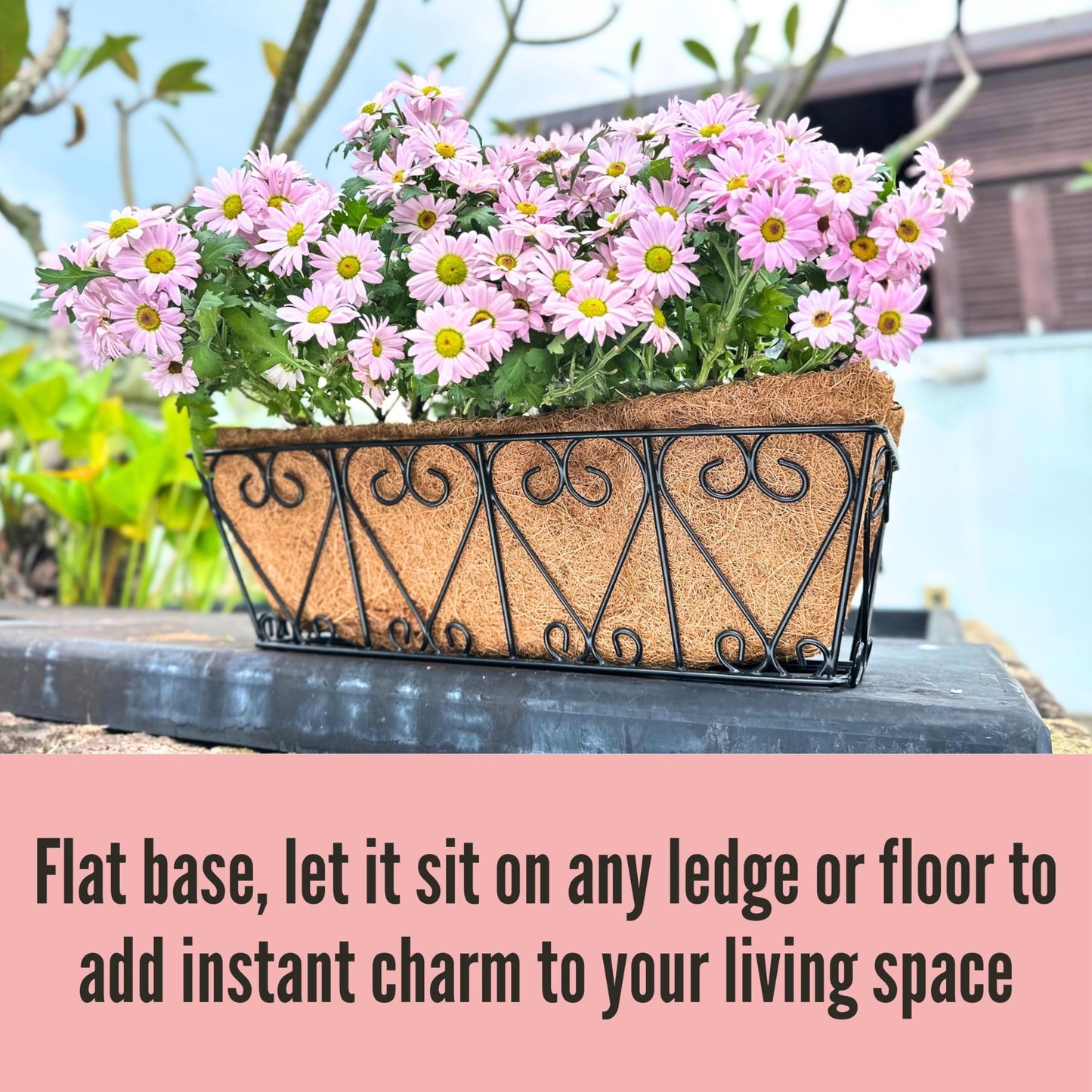 LaLaGreen Wal Planters - 4 Pack, 16 Inch Deck Railing Hanging Basket, Window Flower Boxes Outdoor Black Metal Plant Pot Holder Coco Liner Fence Planter Balcony Garden Patio Porch Farmhouse Boho Decor
