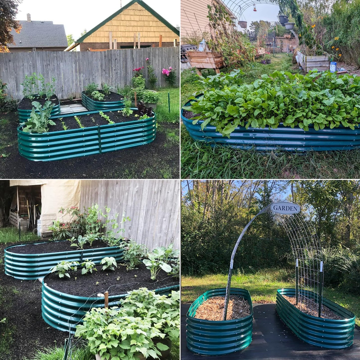 8x3x1.5ft Galvanized Raised Garden Bed, 18" Tall Metal Raised Beds for Gardening, Large Planters Boxes for Outdoor Plants Vegetables, Flowers, Herbs & Tomatoes, Above Ground Garden Beds Kit, Green