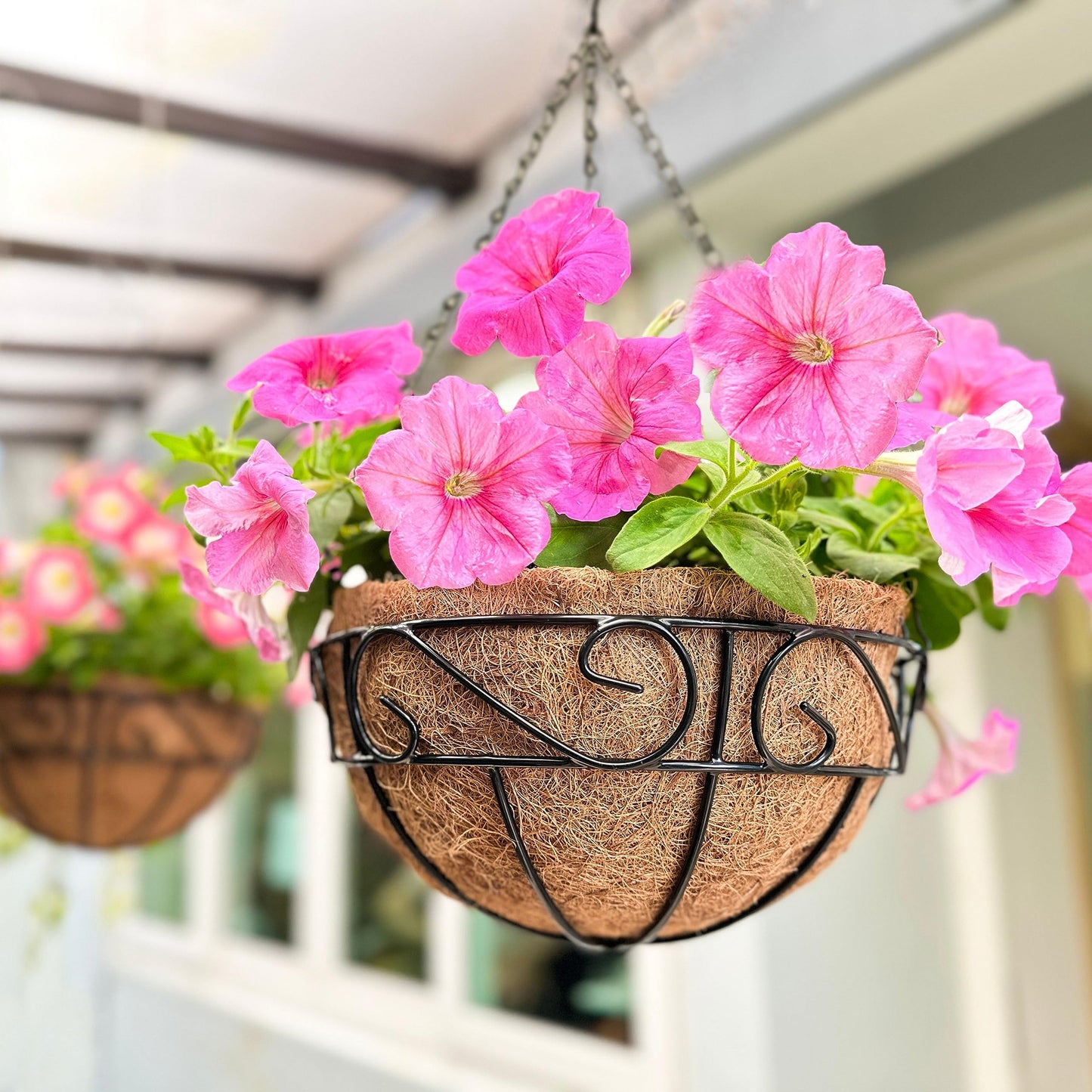 LaLaGreen Hanging Planter for Outdoor Plants (14 Inch, 2 Pack) Black Hanging Baskets with Coco Liner, Metal Wire Flower Basket Pots with Hook Hanger Balcony Porch Farmhouse Country Style Garden Decor