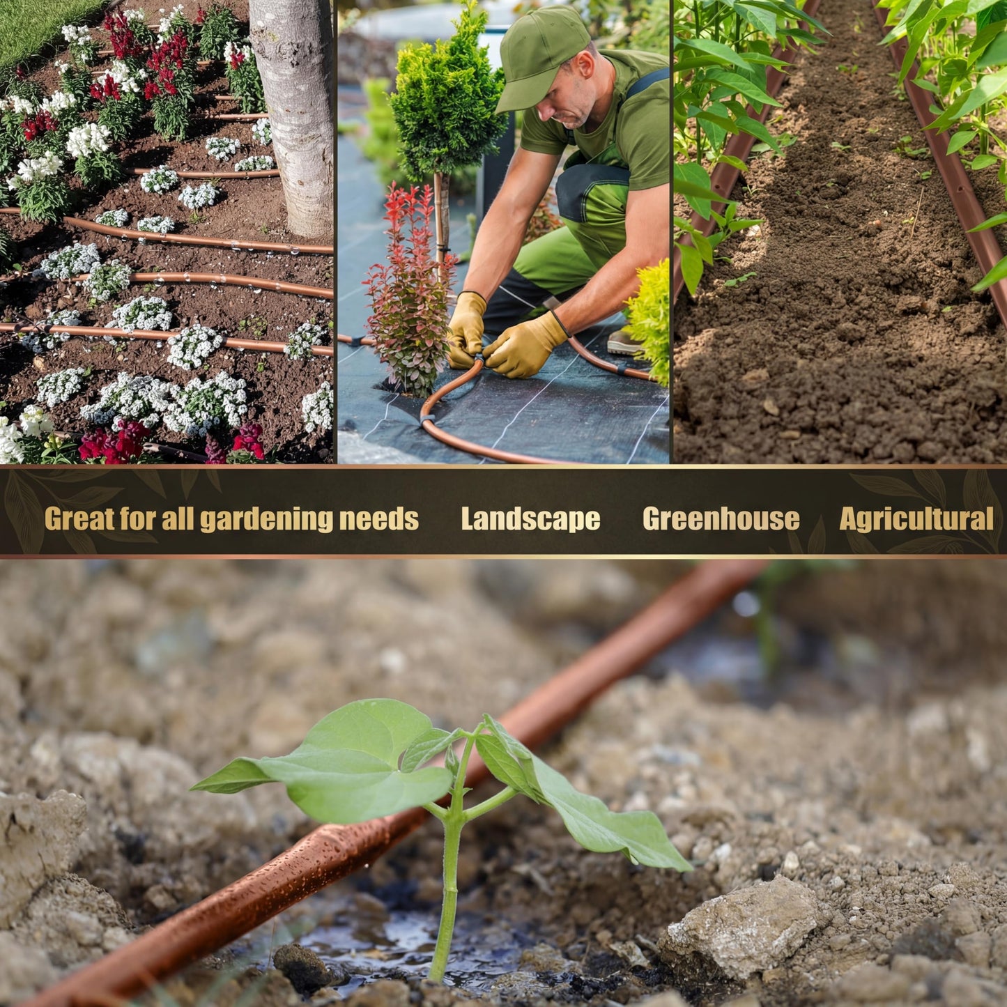 Innconee 250 ft 1/4 Inch Drip Irrigation Tubing with 6" Emitter Spacing Brown Hydroponics Dripline Hose Irrigation Drip Line Emitter Tubing Parts for Gardens Greenhouses Bed Flower Efficient Watering
