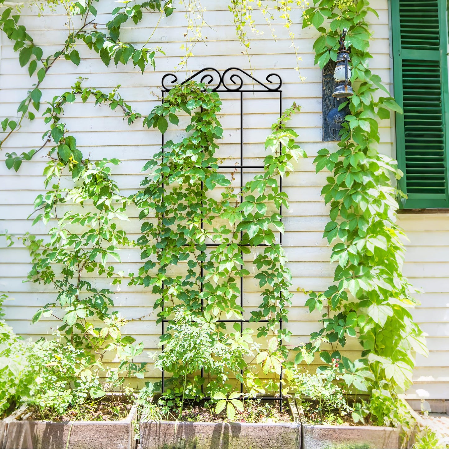 ARIFARO 37.5'' Metal Garden Trellis for Climbing Plants,(Pack of 4) Indoor/Outdoor Sturdy Plant Trellis for Potted Plants,House Plants, Climbing Vines, Black