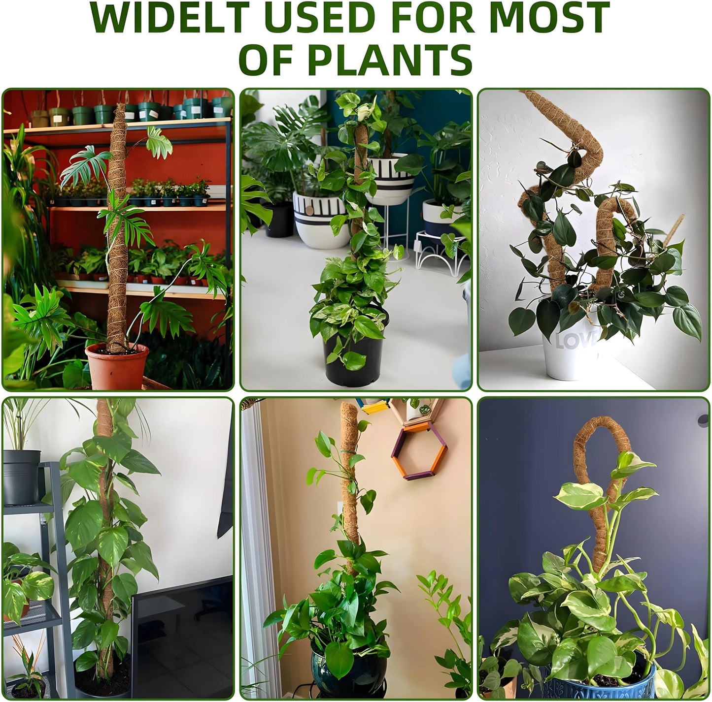 2-Pack 48'' Bendable Moss Poles for Monstera & Climbing Plants – Flexible Trellis Plant Support Stakes with Accessories – Indoor & Outdoor Use