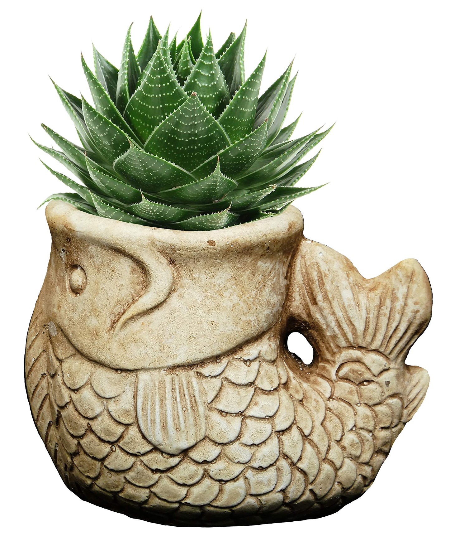 Classic Home and Garden Cement Buddies Animal Planter - Cute Desk Decoration - UV Coated Animal Vase w/Removable Drain Plug - Succulent Planter for Indoor/Outdoor Use (Largemouth Bass, Sand, Small)