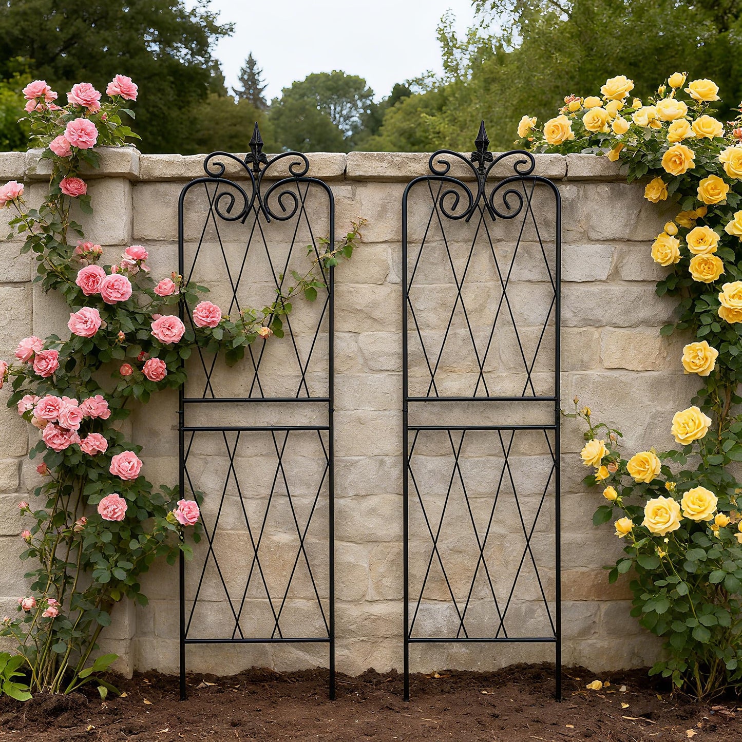 SCENDOR Garden Trellis for Climbing Plants 59inch x15inch Rustproof Metal Vine Trellises for Outdoor Climbing Plants Support Structures A (150cm) 2Pack