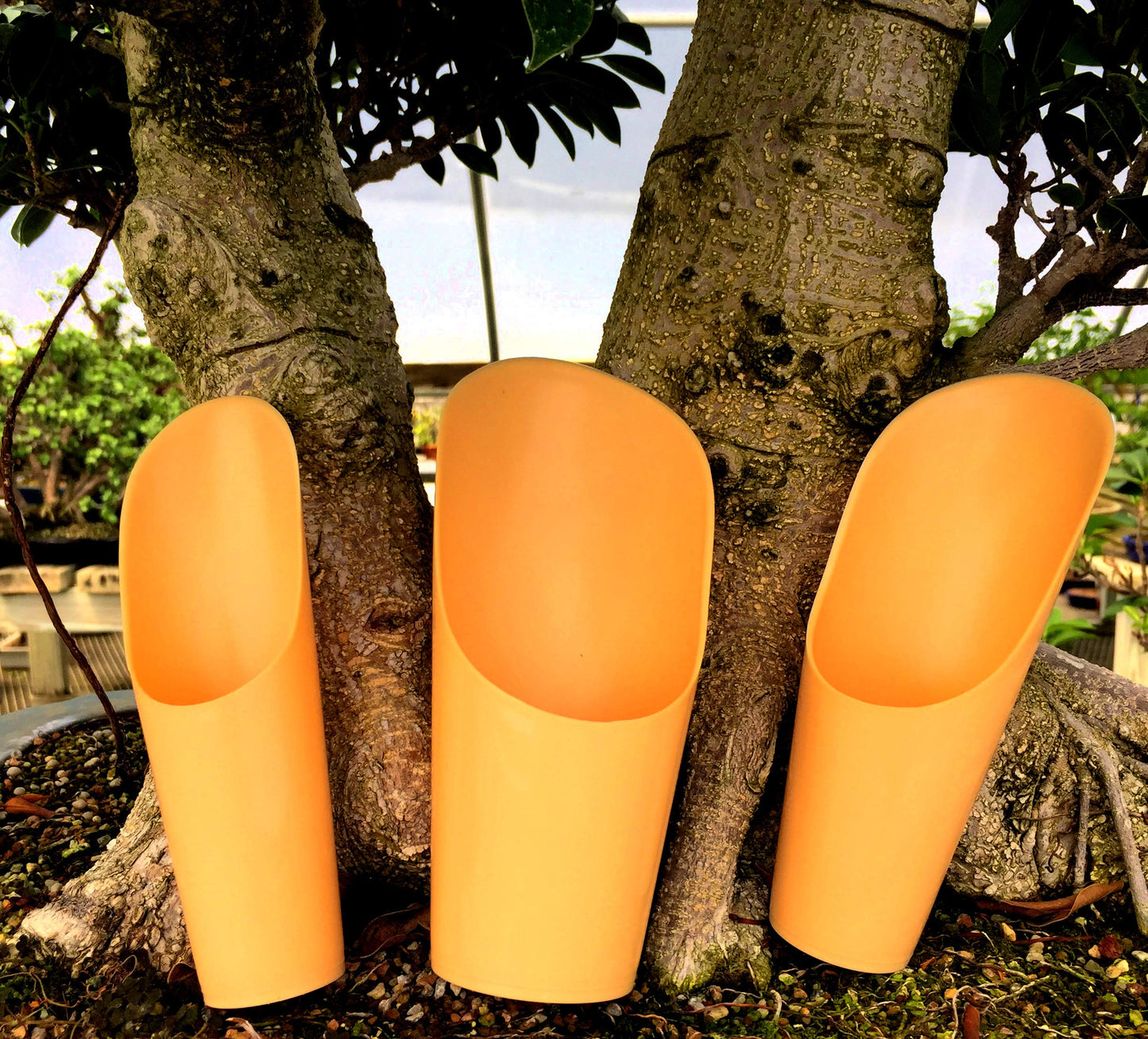 Plastic Soil Scoopers by Tinyroots - Set of 3 Soil Scoop Set, Used by Kaikou School of Bonsai Since 1987