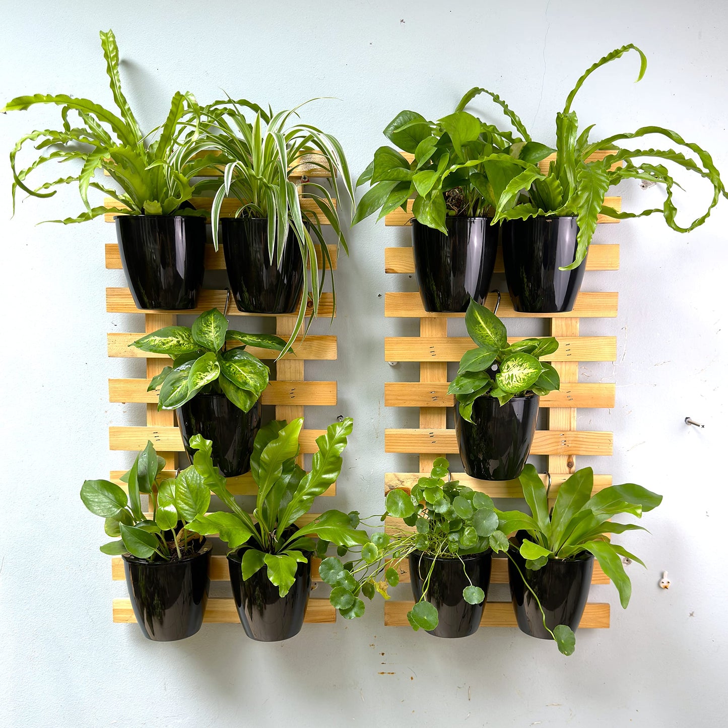 LalaGreen Bundle - 4" Pot + 2 Wooden Plant Holder, Black Self Watering Pot, Wall Hanging Planters for Indoor Plants Ladder, Wall Hanging Pots, Outdoor Vertical Garden Unique Live Orchid Planter Holder