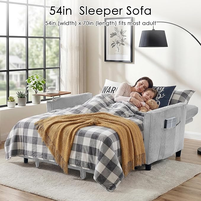 Sleeper Sofa Bed, Guest Room