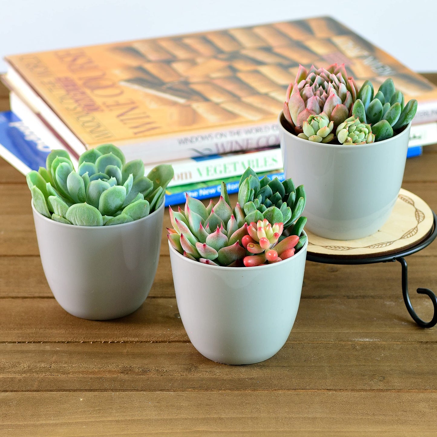 Youngever 10 Pack 3 Inch Mini Plastic Planters Indoor Flower Plant Pots, Grey Gardening Pot with Drainage for All House Plants, Flowers, Herbs, Succulents, NO Plant Included (Modern)
