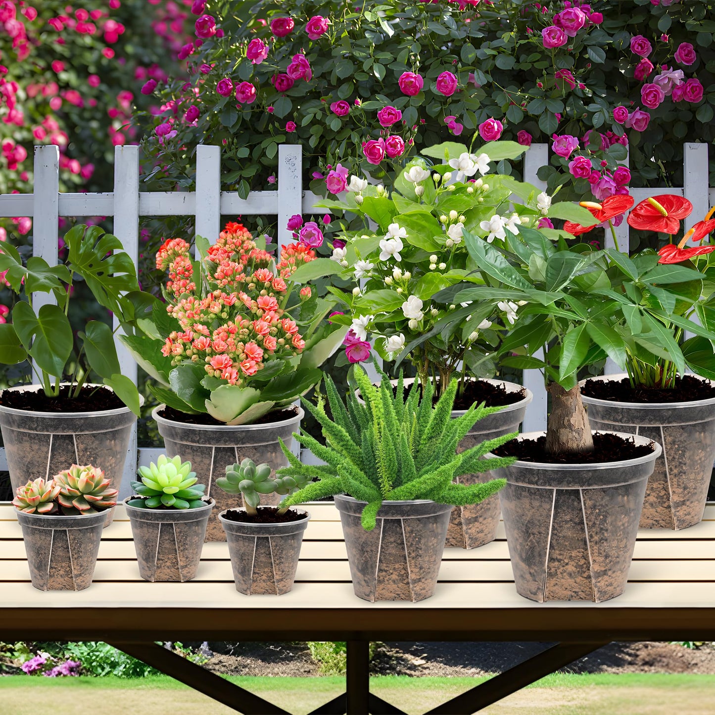 AUGXIXI 5 Set 7 Inch Transparent Plastic Garden Pots with Saucer - Planter with Drainage Hole for Indoor and Outdoor Plants - Includes 10 Plant Labels