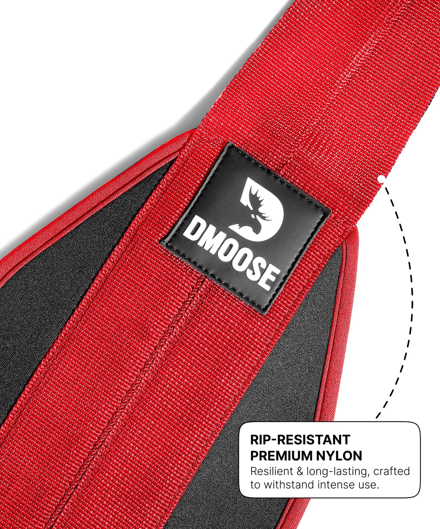 DMoose Fitness Hanging Ab Straps for Pull Up Bar & Core Strength Training - Soft Padded Exercise Straps for Ab Swing & Leg Raises, Hang Bar Strap with 2 Steel Carabiners - Abs Equipment for Home & Gym