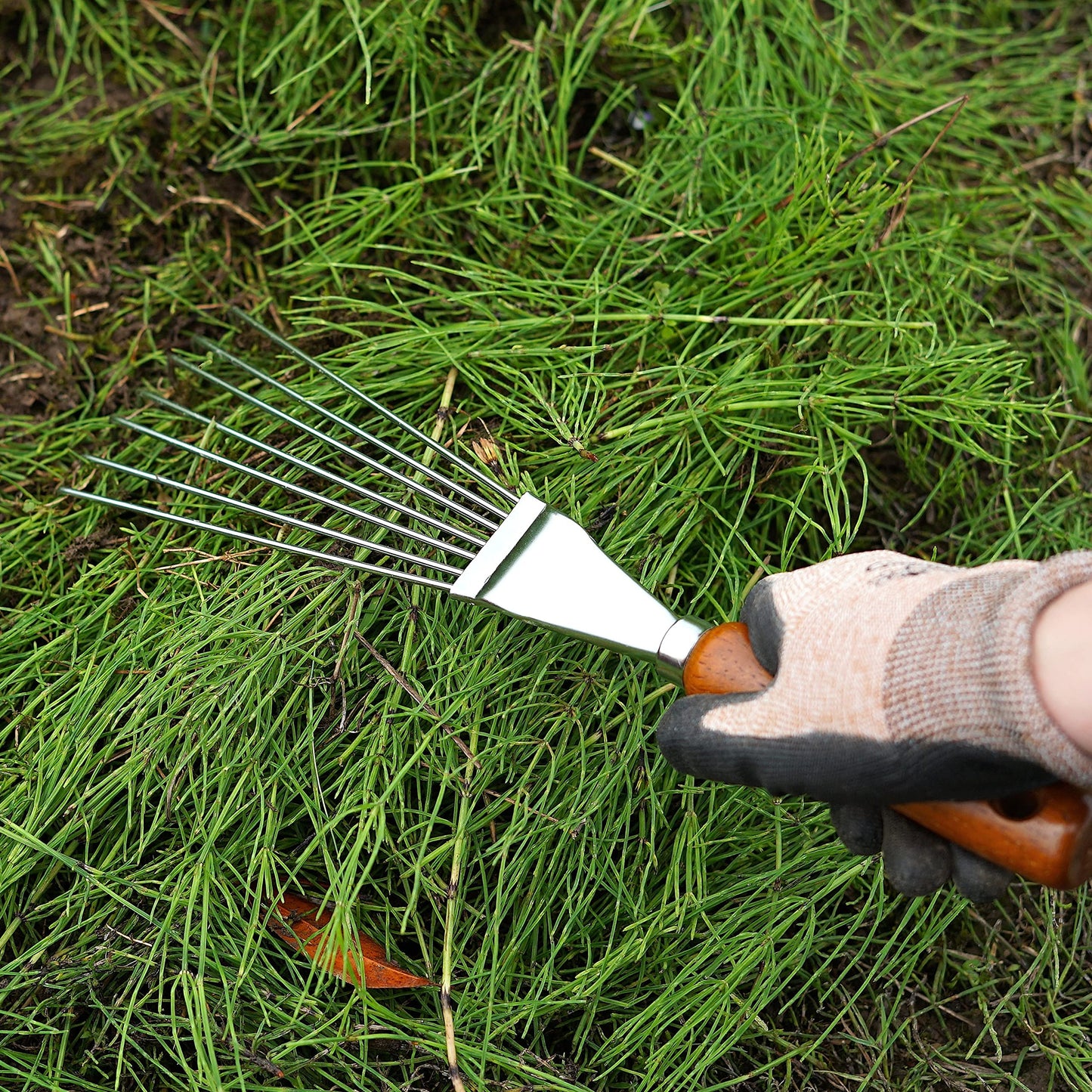Japanese Hand Rake Garden Tool - Japanese Steel with Wood Handle - Small Rake for Leaves, Handheld Garden Cleaning Tool - Made in Japan