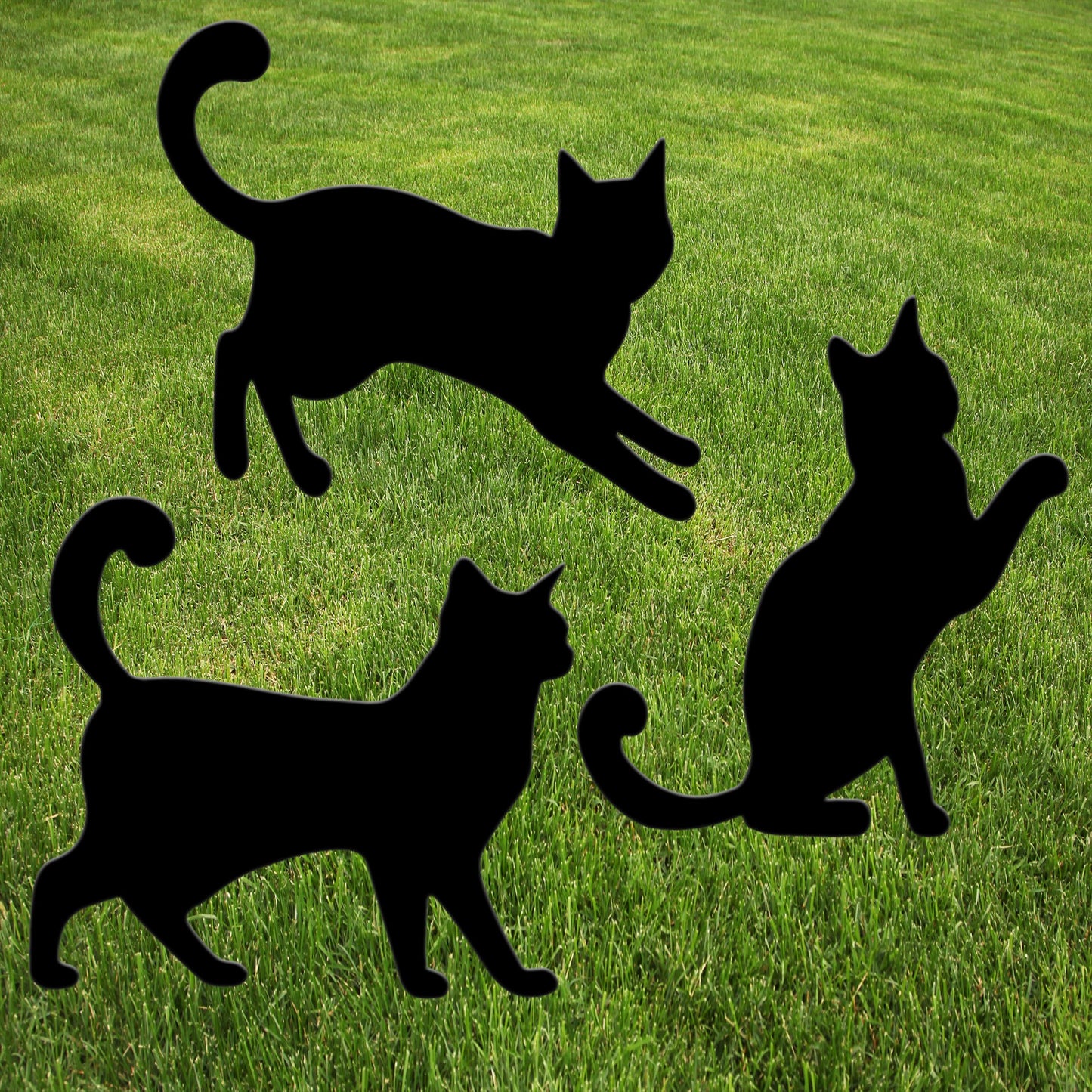 Black Cat Cats Halloween Yard Sign Home Outdoor Lawn Decoration With Stakes Scary Spooky Decor12x12 Inches (3 Pack)