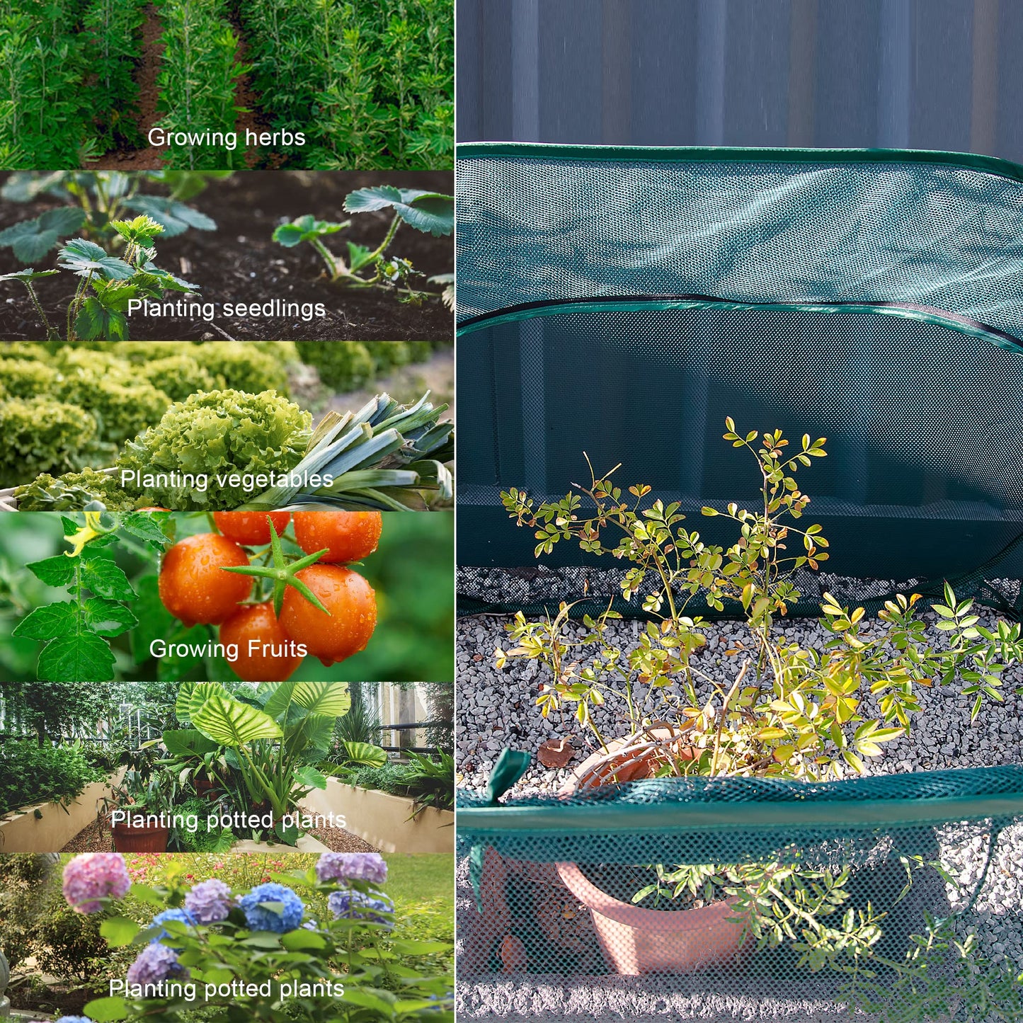 ANC POP Pop Up Mesh Plant Cover,40'' x 40'' x 30'' Plant Protector for Raised Garden & Flower Bed, Net Cage Plant Guard for Fruits, Vegetables, Seedlings and Herbs, 8 Ground Stakes for Fixing