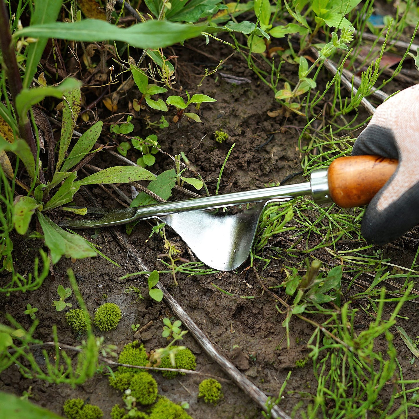 Weed Puller Heavy Duty Japanese Steel with Wood Handle, Hand Weeding Tool, Manual Weeder for Garden, Quick and Easy Weed Pull Tool, Made in Japan, Silver