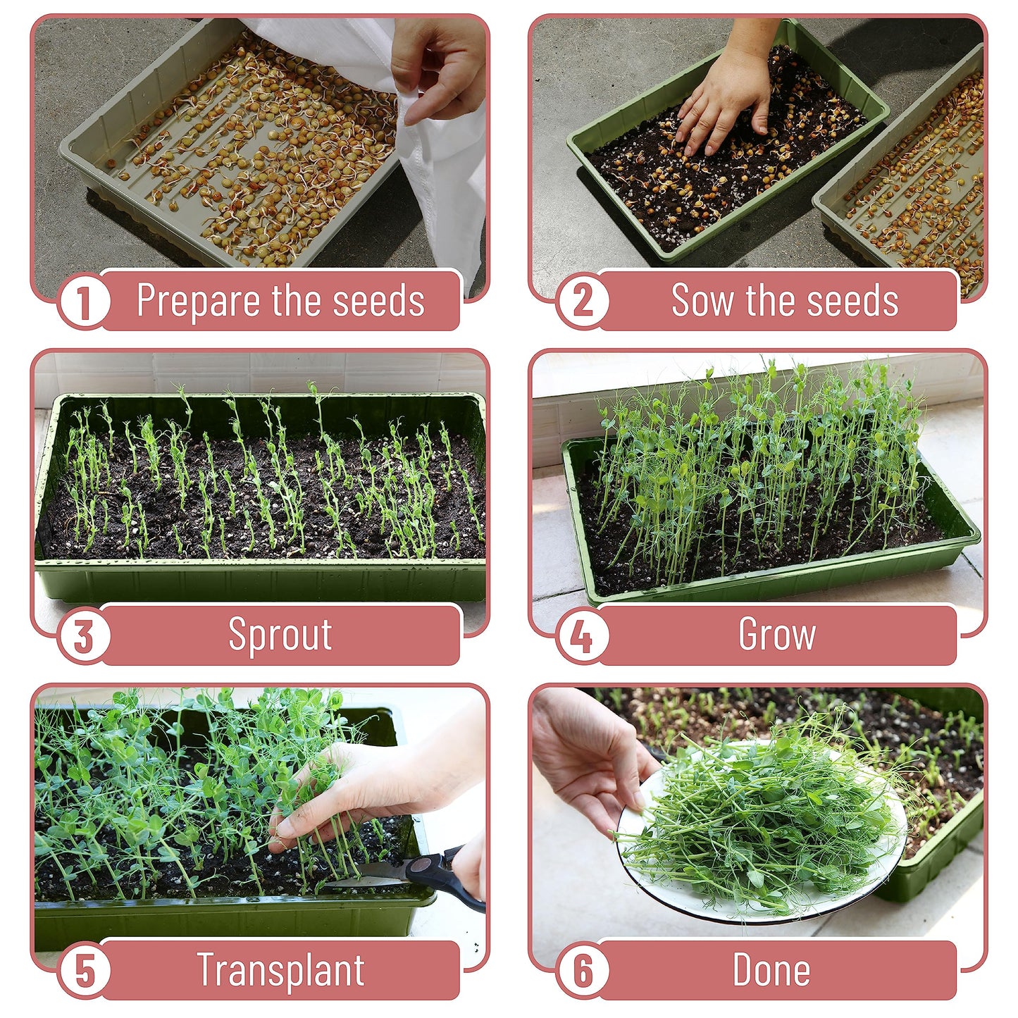 Mr. Pen- Seed Starter Trays, 10 Pack, 17"x10"x2.4", Durable Plastic Growing Trays, Stackable and Reusable Seedling Starter Kits for Indoor, Outdoor, Greenhouse Gardening, Planting, Hydroponic Systems