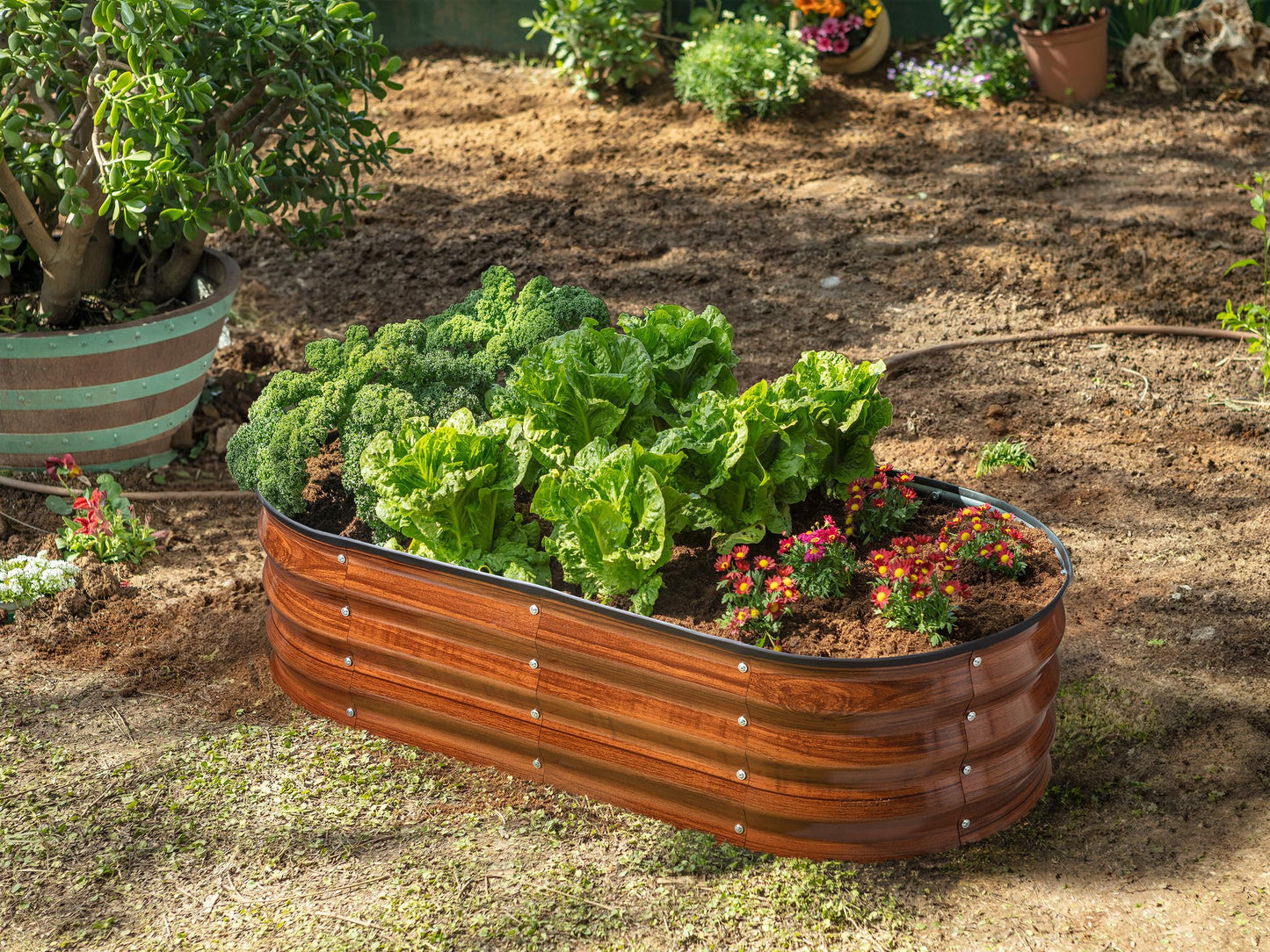 Plant & Plot Galvanized Raised Garden Beds Outdoor // 4×2×1 ft Planter Raised Beds for Gardening, Vegetables, Flowers // Large Metal Garden Box (Dark Wood Grain)